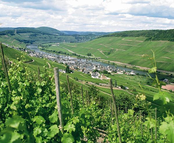 Weinberghotel Nalbach Reil Zewnętrze zdjęcie